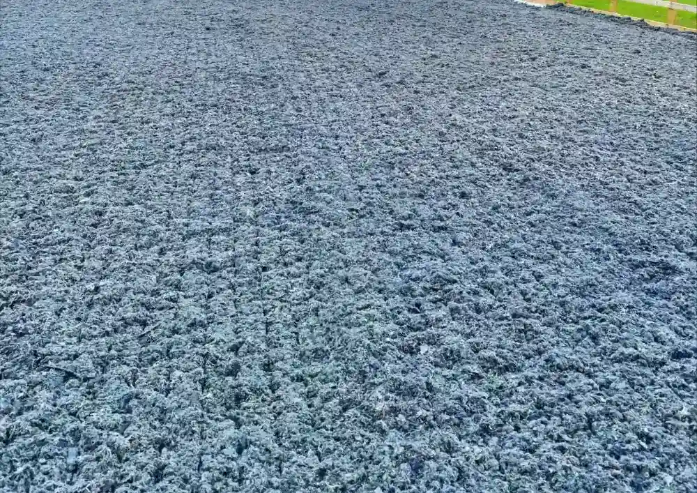 Best carpet fibre equestrian riding surfaces in UK