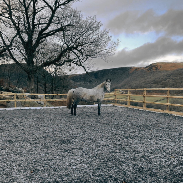 Schooling arena surfaced with Superior Fibre fibre riding surface