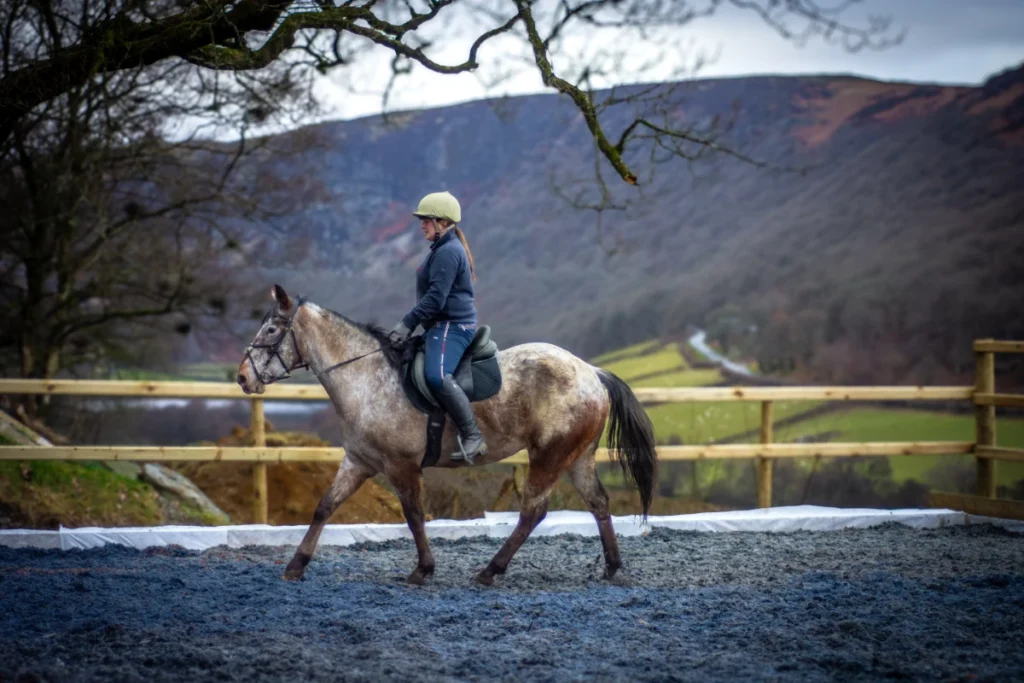 Top quality equestrian arena surfaces in UK