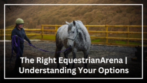 The Right Equestrian Arena Understanding Your Options